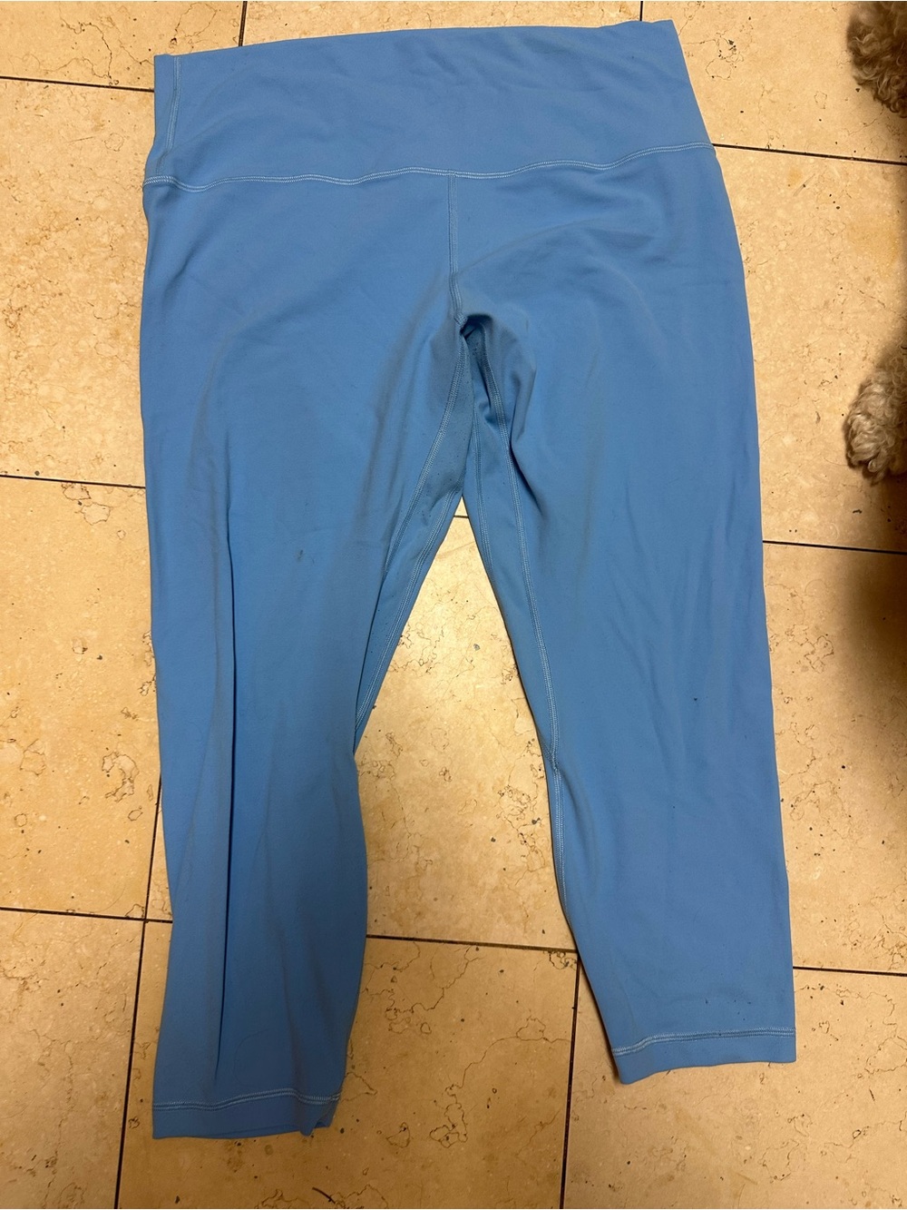 LULULEMON Women’s Blue Active Leggings
